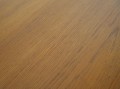 DSC05205.JPG