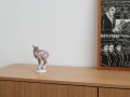 DSC03872.jpg