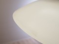 P1012517.jpg