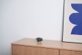 Sesja studio dodatki-1081.jpg