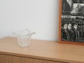 DSC03219.jpg