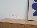 DSC04465-2.jpg