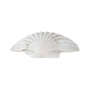 Decorative seashell, boho style, 1980s