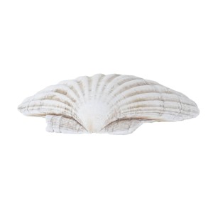 Decorative seashell, boho style, 1980s