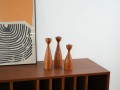 DSC00157.jpg