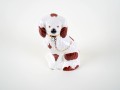 DSC09706.jpg