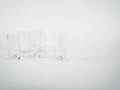 DSC09893.jpg