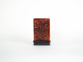 DSC01043.jpg
