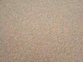 P1018543.jpg