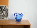 DSC01313.jpg