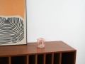 DSC00207.jpg