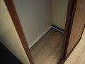 P1010249.jpg