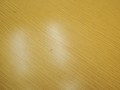 P1010397.jpg