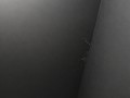P1011669.jpg