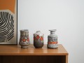 DSC01950.jpg