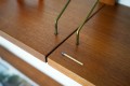 DSC04528.jpg