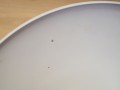 P1014325.JPG