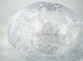 DSC02040.jpg