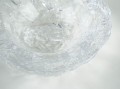 DSC02041.jpg