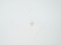 DSC02257.jpg