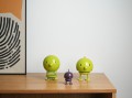 DSC02594.jpg