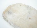 DSC02387.jpg