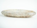DSC02389.jpg