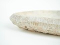 DSC02390.jpg
