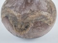 DSC02439.jpg