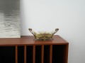 DSC00475.jpg