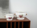 DSC00496.jpg