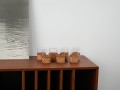 DSC00515.jpg