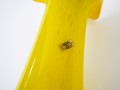 DSC03333.jpg