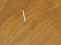 PC136116.JPG