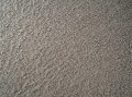 PC281439.JPG