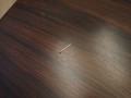 P1013738.JPG